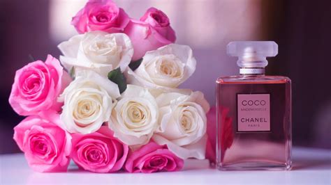 coco chanel rose|Chanel flower images.